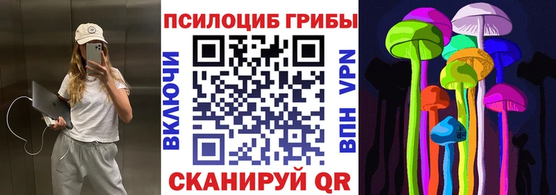 Купить где  Острогожск  Псилоцибиновые грибы Magic Shrooms 